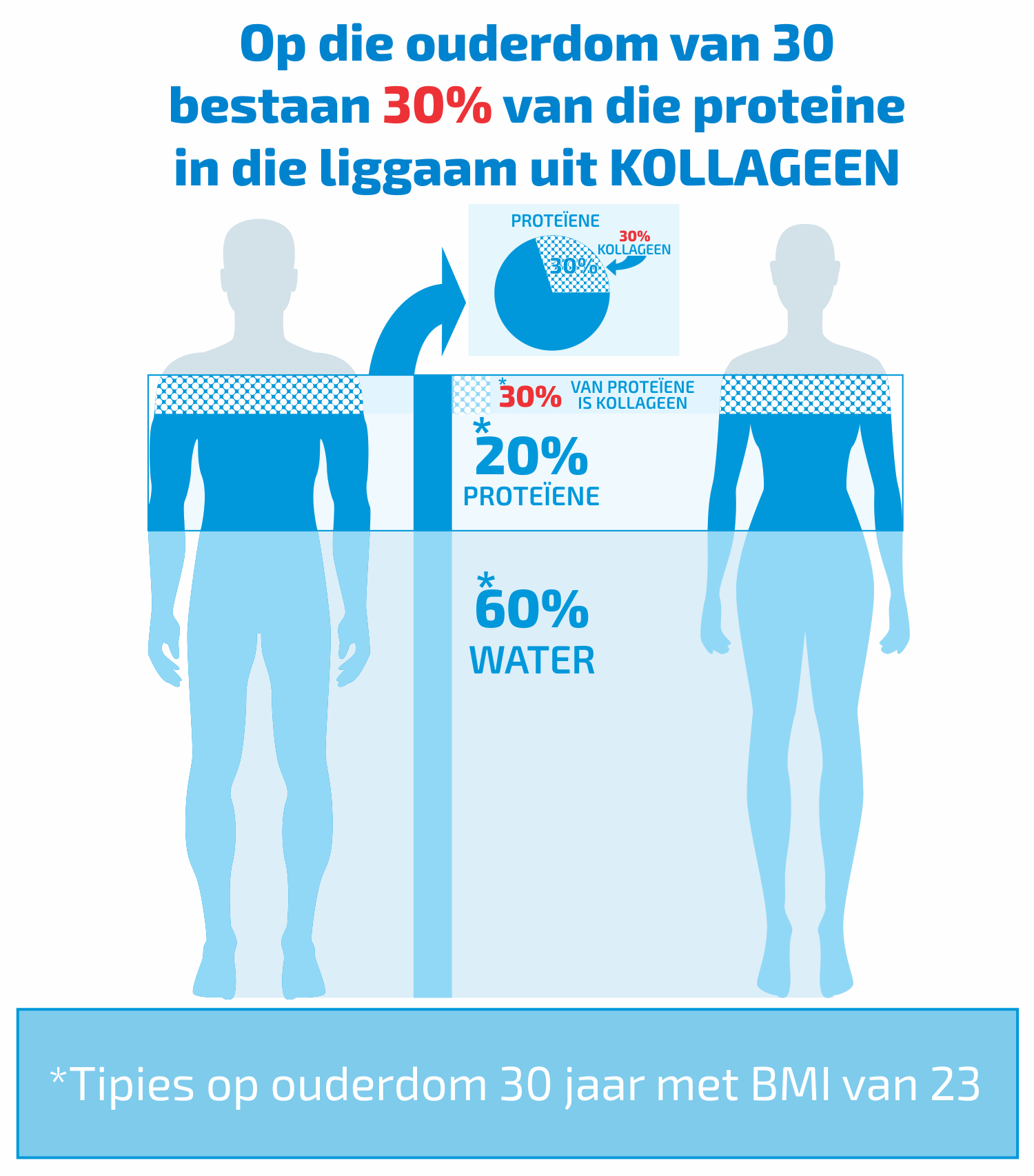body-consists-of-collagen